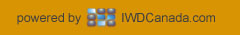 International Web Development